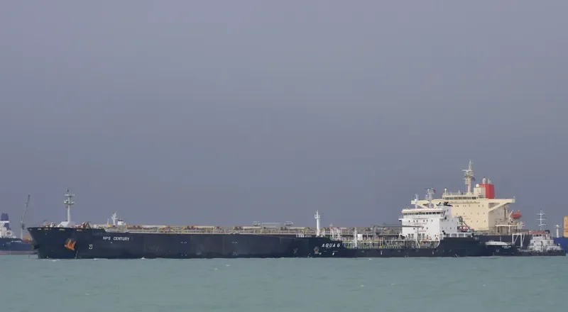NPS CENTURY Bulk Carrier IMO 9187289 photo 5