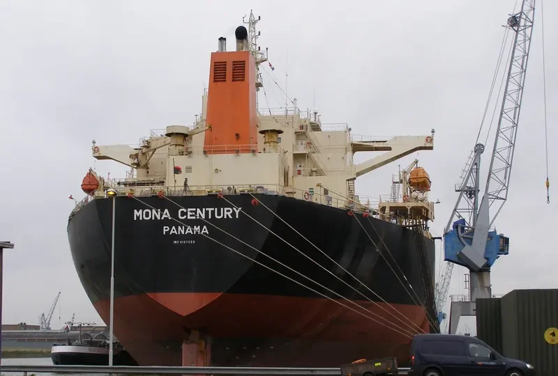 NPS CENTURY Bulk Carrier IMO 9187289 photo 10