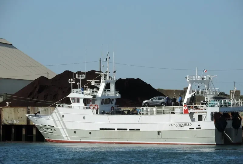 FARO PICAMILLO General Cargo IMO 9187291