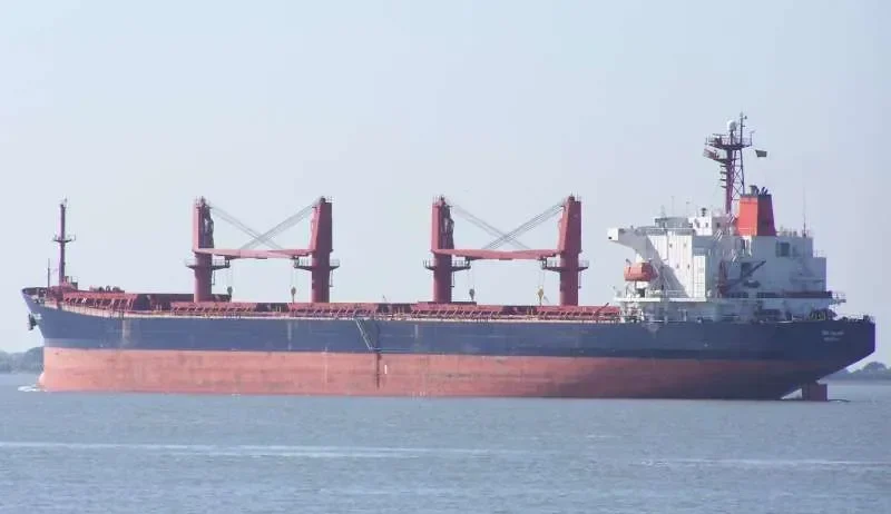 ISKANDAR Bulk Carrier IMO 9187370 photo 4