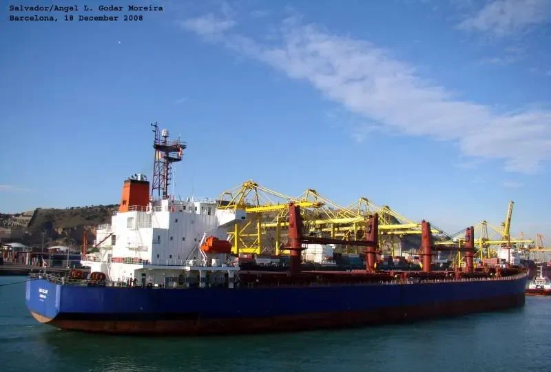 ISKANDAR Bulk Carrier IMO 9187370 photo 7
