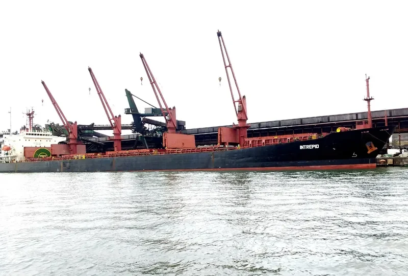 BAO JIA Bulk Carrier IMO 9187382 photo 2