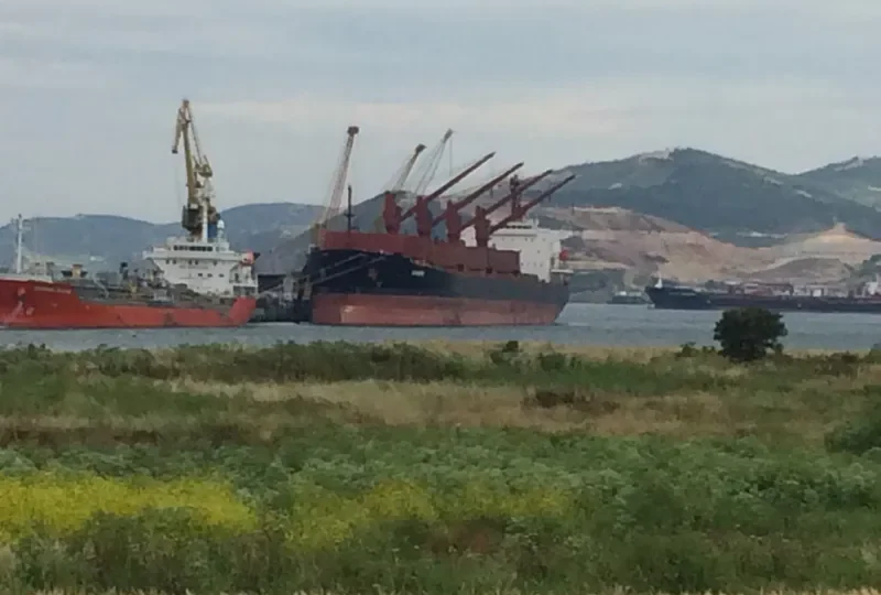 BAO JIA Bulk Carrier IMO 9187382 photo 4