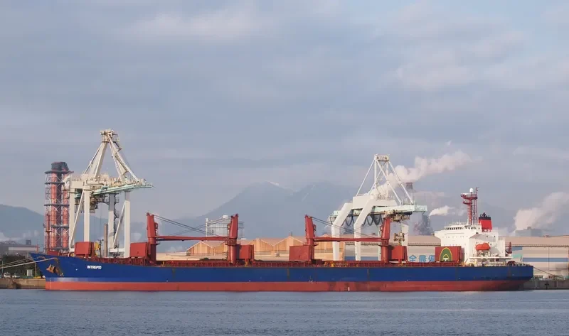 BAO JIA Bulk Carrier IMO 9187382 photo 6