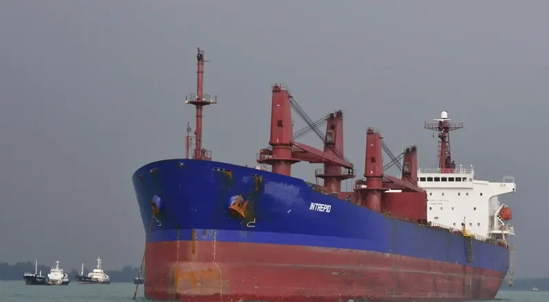 BAO JIA Bulk Carrier IMO 9187382 photo 8