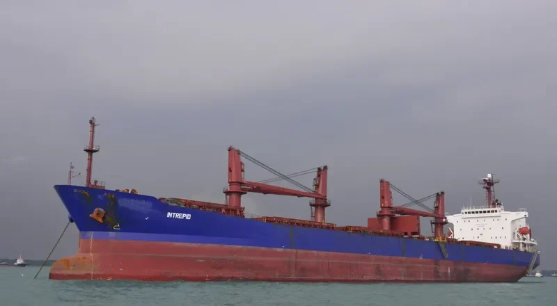 BAO JIA Bulk Carrier IMO 9187382 photo 9