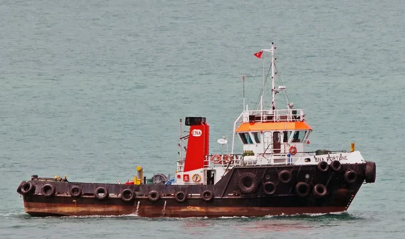 ENA FORTUNE General Cargo IMO 9187564