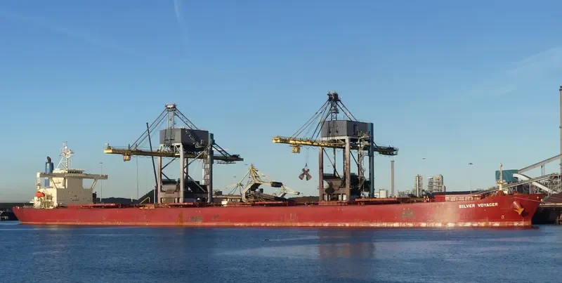 SILVER VOYAGER Bulk Carrier IMO 9187576 photo 3