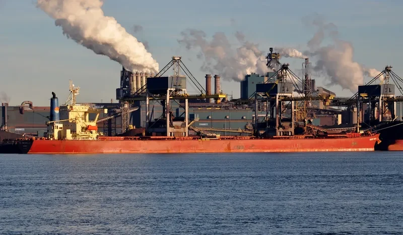 SILVER VOYAGER Bulk Carrier IMO 9187576 photo 4