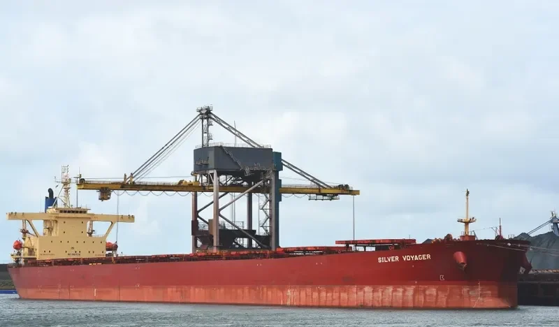 SILVER VOYAGER Bulk Carrier IMO 9187576 photo 6