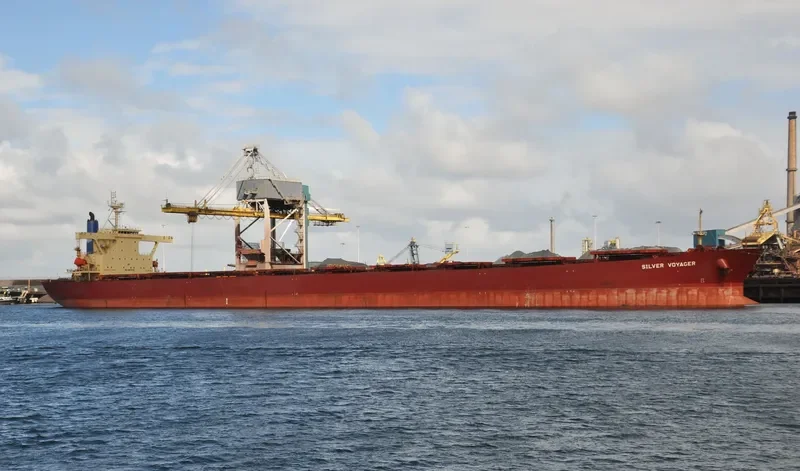 SILVER VOYAGER Bulk Carrier IMO 9187576 photo 8