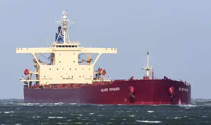 SILVER VOYAGER Bulk Carrier IMO 9187576 photo 10