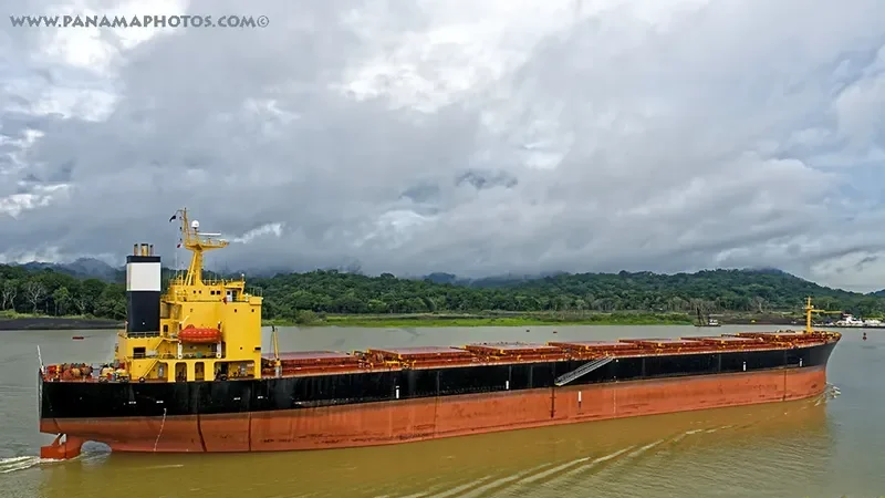 MONA KH Bulk Carrier IMO 9187708