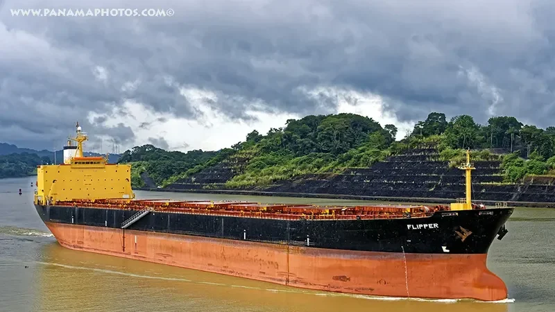 MONA KH Bulk Carrier IMO 9187708 photo 2
