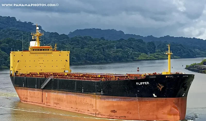 MONA KH Bulk Carrier IMO 9187708 photo 3