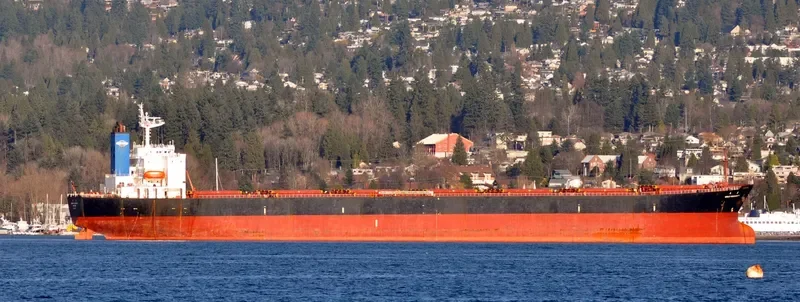 GREAT PROSPERITY Bulk Carrier IMO 9187710 photo 5