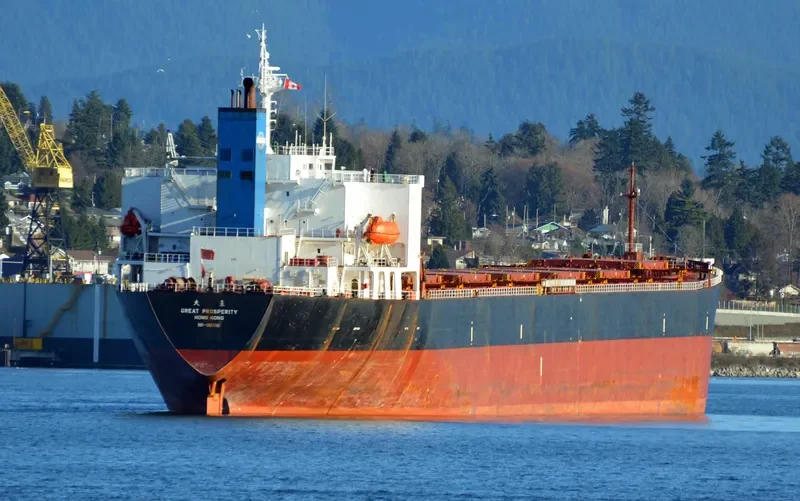 GREAT PROSPERITY Bulk Carrier IMO 9187710 photo 6