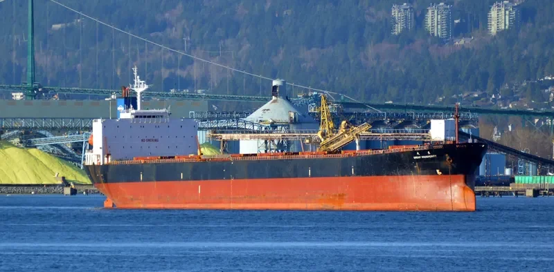 GREAT PROSPERITY Bulk Carrier IMO 9187710 photo 7