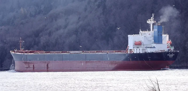 GREAT PROSPERITY Bulk Carrier IMO 9187710 photo 8