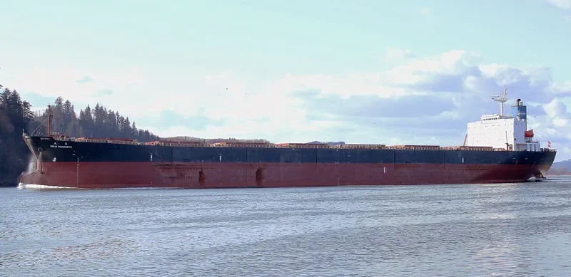 GREAT PROSPERITY Bulk Carrier IMO 9187710 photo 9