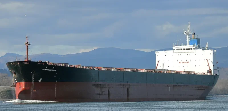 GREAT PROSPERITY Bulk Carrier IMO 9187710 photo 10