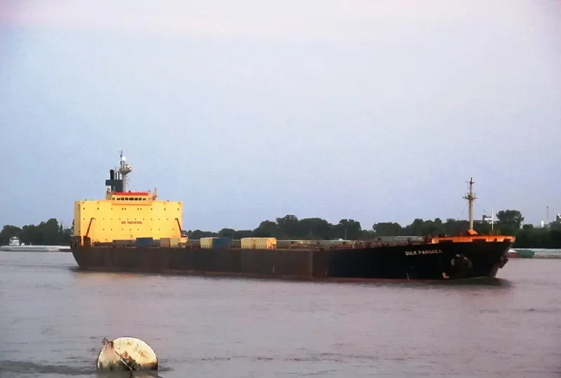 BULK PANGAEA Bulk Carrier IMO 9187722