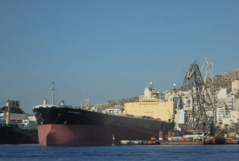 BULK PANGAEA Bulk Carrier IMO 9187722 photo 7