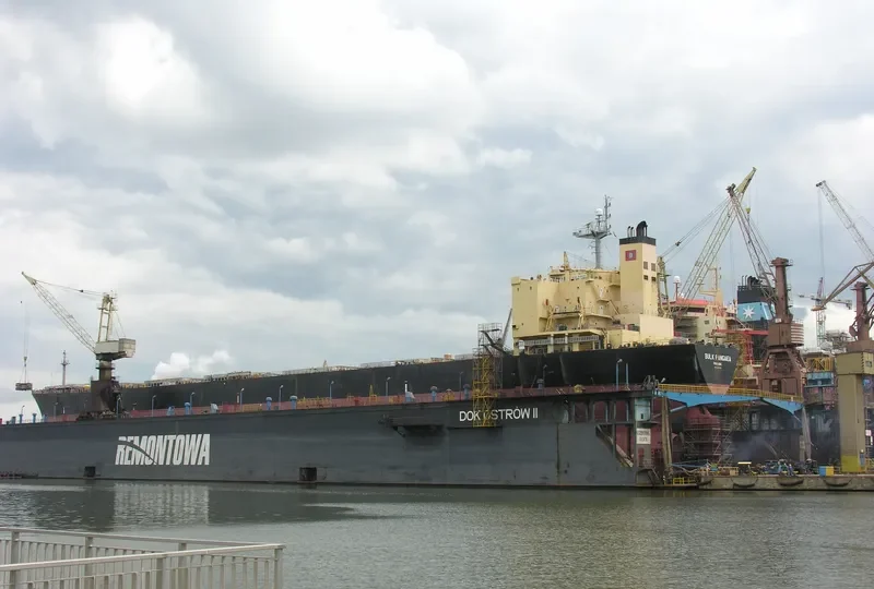 BULK PANGAEA Bulk Carrier IMO 9187722 photo 8