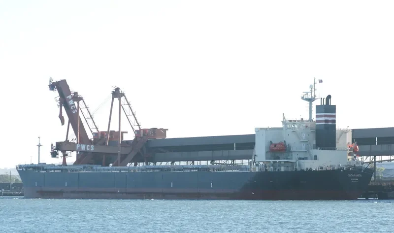 BULK PANGAEA Bulk Carrier IMO 9187722 photo 10
