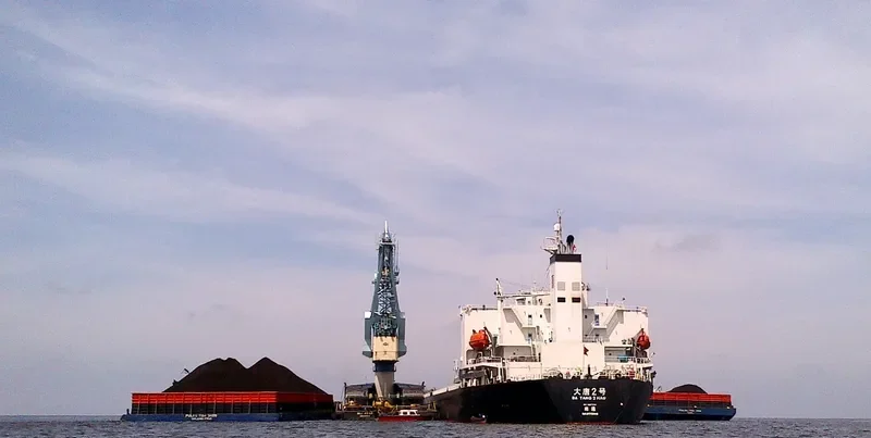 DA TANG 2 HAO Bulk Carrier IMO 9187734 photo 5