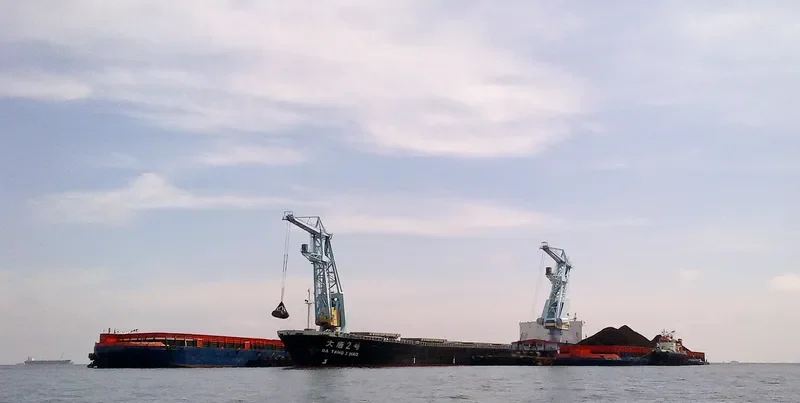 DA TANG 2 HAO Bulk Carrier IMO 9187734 photo 6