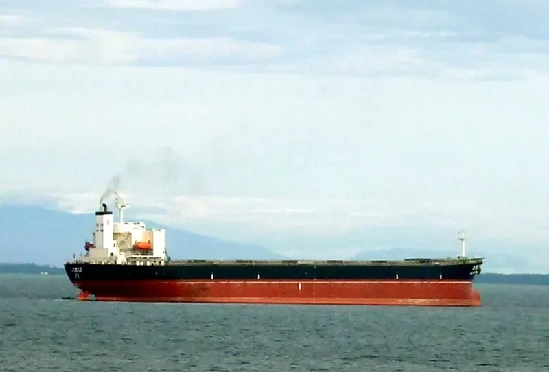 DA TANG 2 HAO Bulk Carrier IMO 9187734 photo 7