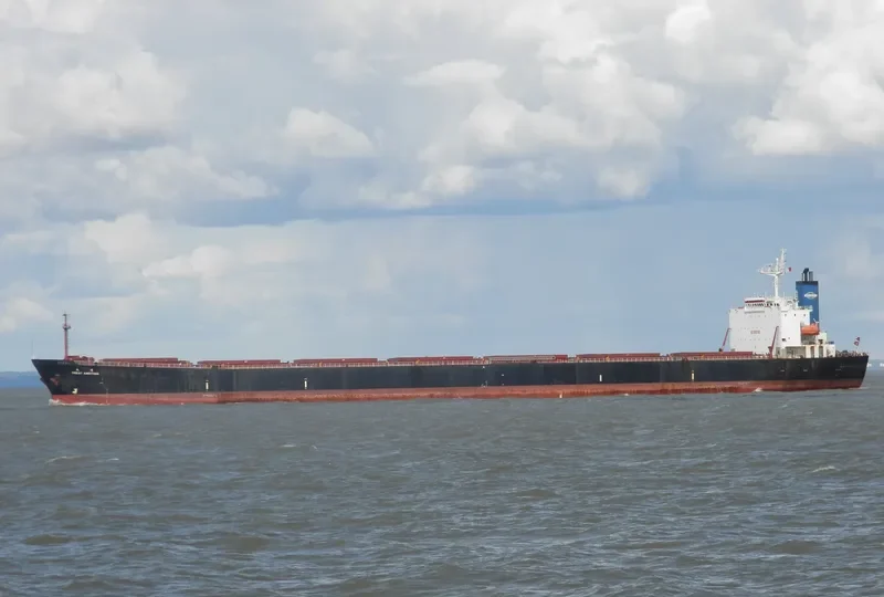 GREAT AMBITION Bulk Carrier IMO 9187746