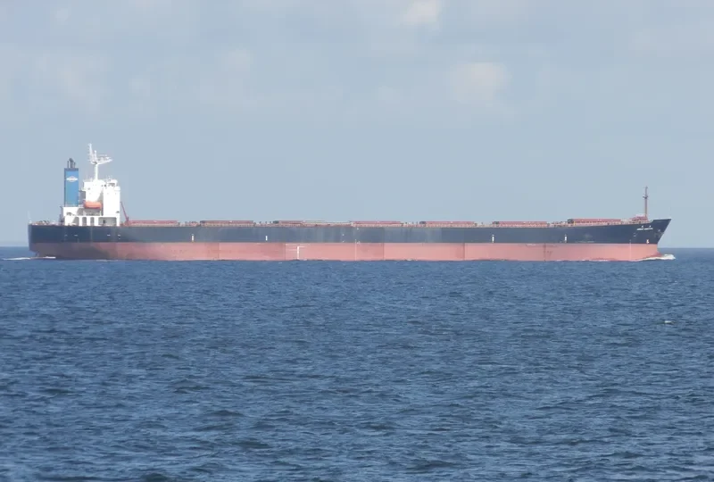 GREAT AMBITION Bulk Carrier IMO 9187746 photo 3