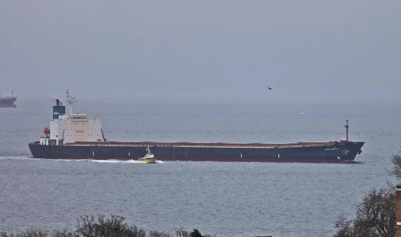 GREAT AMBITION Bulk Carrier IMO 9187746 photo 9