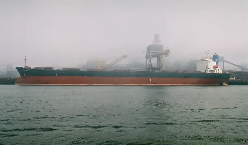 GREAT LOYALTY Bulk Carrier IMO 9187758