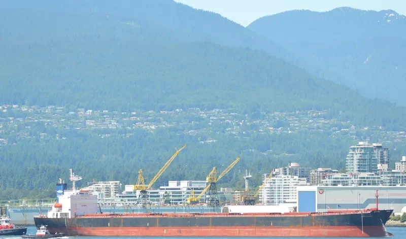 GREAT LOYALTY Bulk Carrier IMO 9187758 photo 3