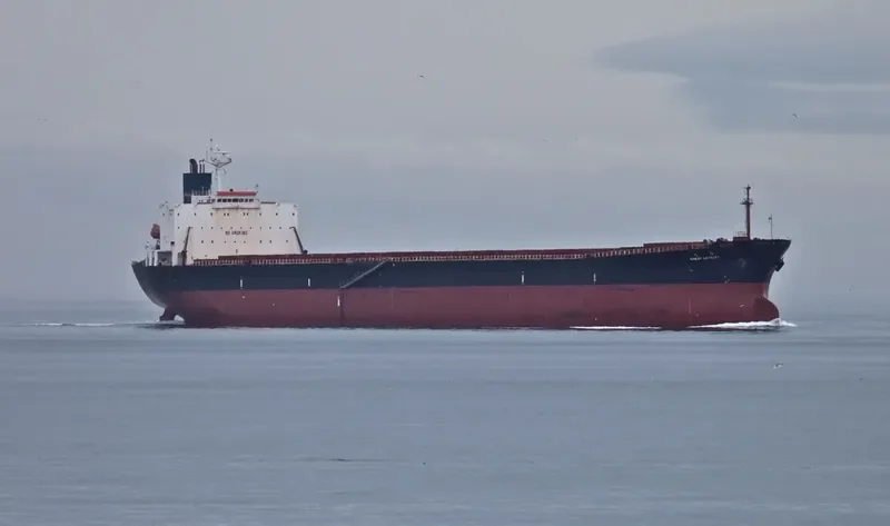 GREAT LOYALTY Bulk Carrier IMO 9187758 photo 7