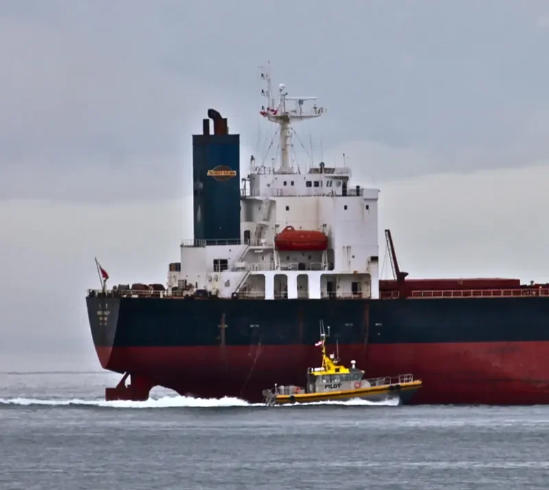 GREAT LOYALTY Bulk Carrier IMO 9187758 photo 8