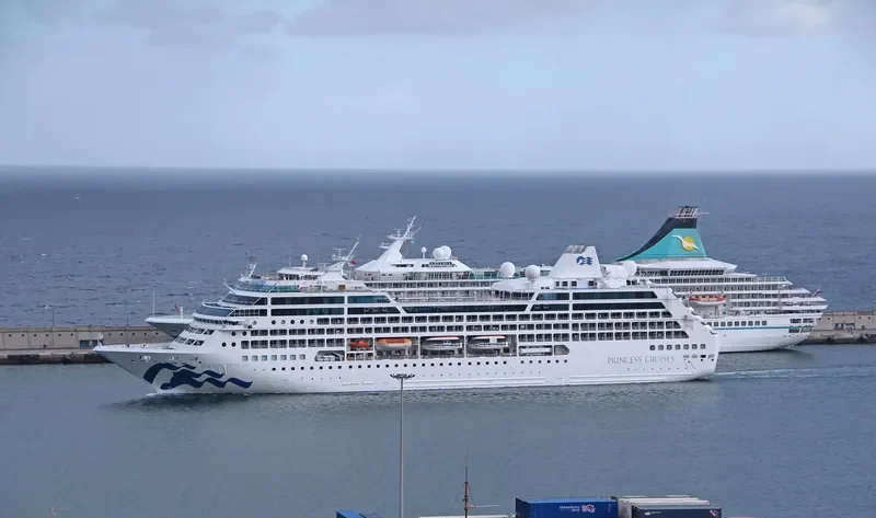 P PRINCE Passenger Ship IMO 9187887 photo 3