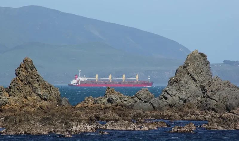 GOLDEN ATLANTIC Bulk Carrier IMO 9187954 photo 6