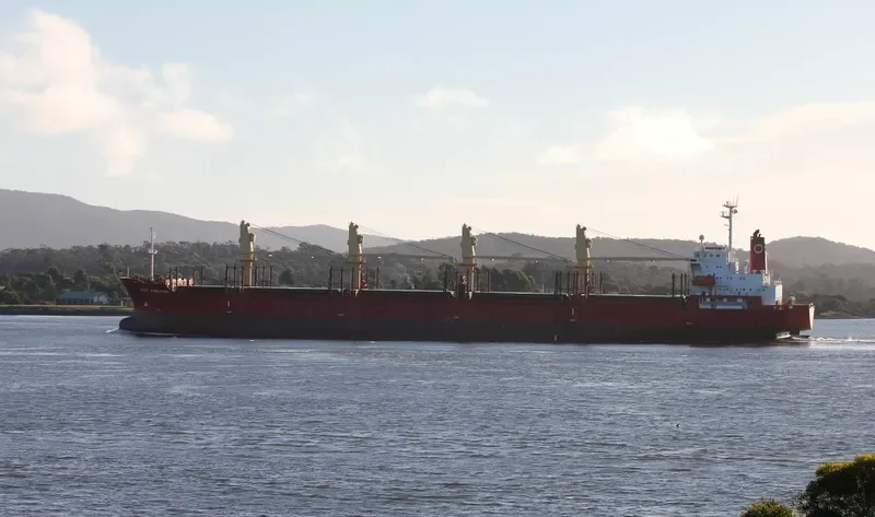 GOLDEN ATLANTIC Bulk Carrier IMO 9187954 photo 9