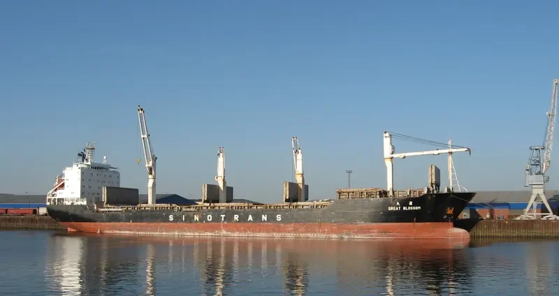 GREAT BLOSSOM Bulk Carrier IMO 9188013 photo 3