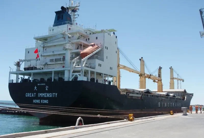 GREAT IMMENSITY Container Ship IMO 9188025 photo 2