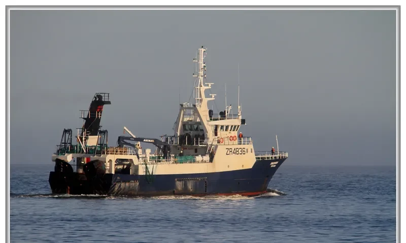 FUCHSIA General Cargo IMO 9188269 photo 3