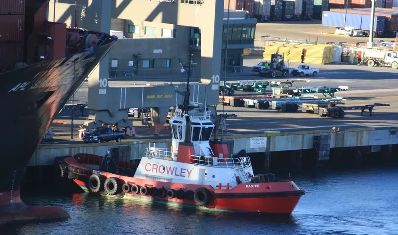 MASTER General Cargo IMO 9188532