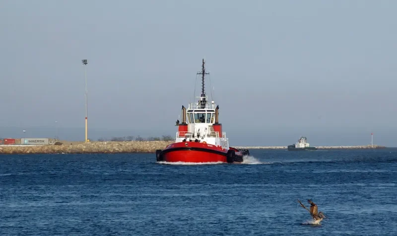 SCOUT General Cargo IMO 9188570 photo 8