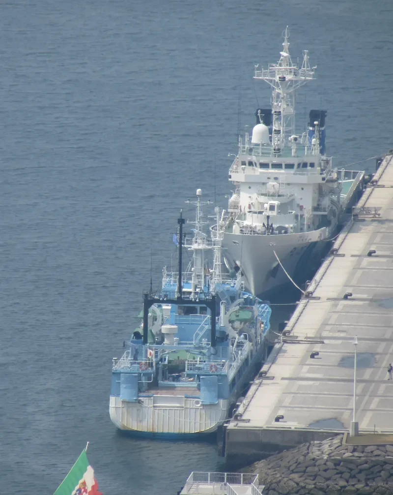 DEJIMA General Cargo IMO 9188635 photo 4