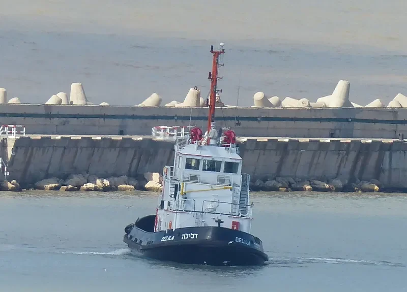 DELILA General Cargo IMO 9188738 photo 7