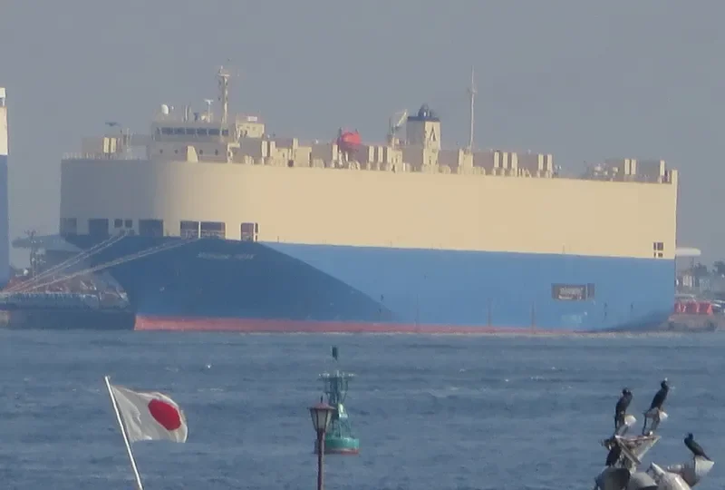 DA FENG GANG HE SHUN HAO General Cargo IMO 9188805 photo 6
